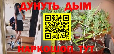 шишки Донецк
