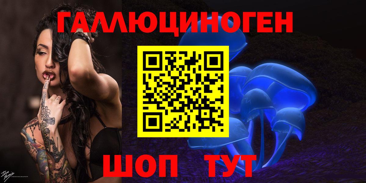 Псилоцибиновые грибы Psilocybe Михайловск