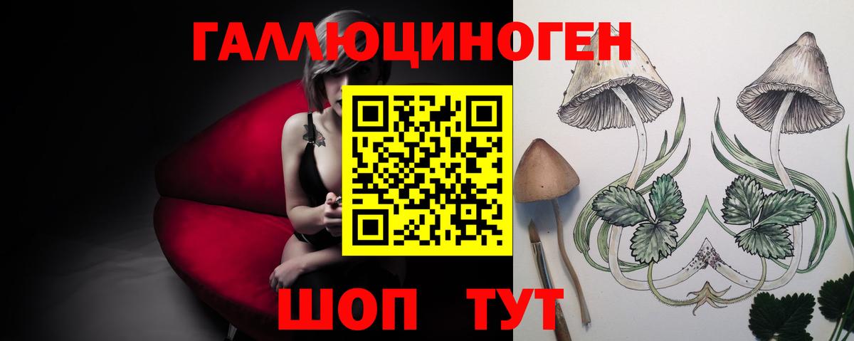Псилоцибиновые грибы MAGIC MUSHROOMS  Галлюциногенные грибы мухоморы  Михайловск  Вход с VPN 